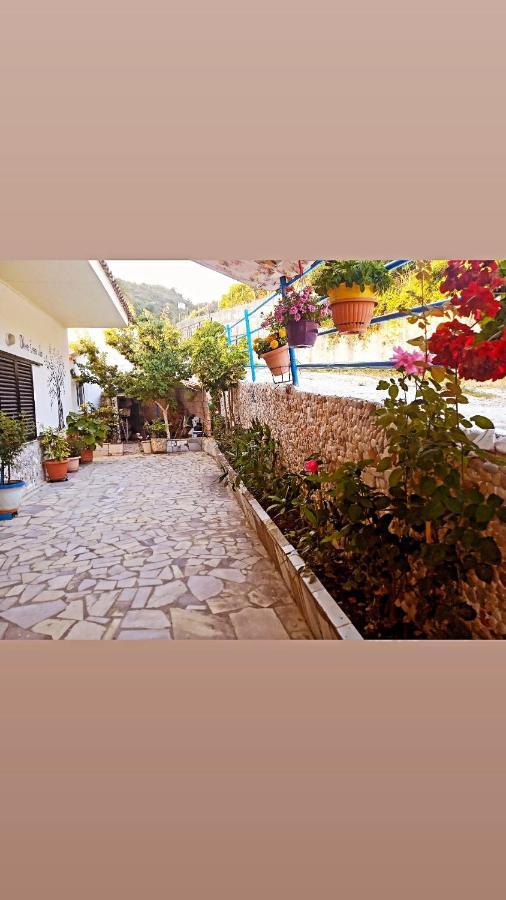 Olive Tree Villa Lygia  Extérieur photo
