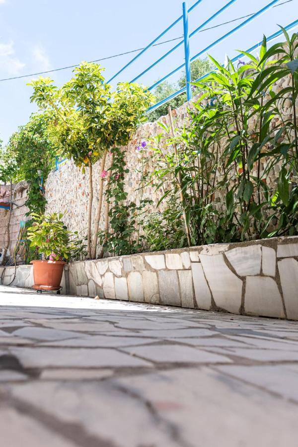 Olive Tree Villa Lygia  Extérieur photo