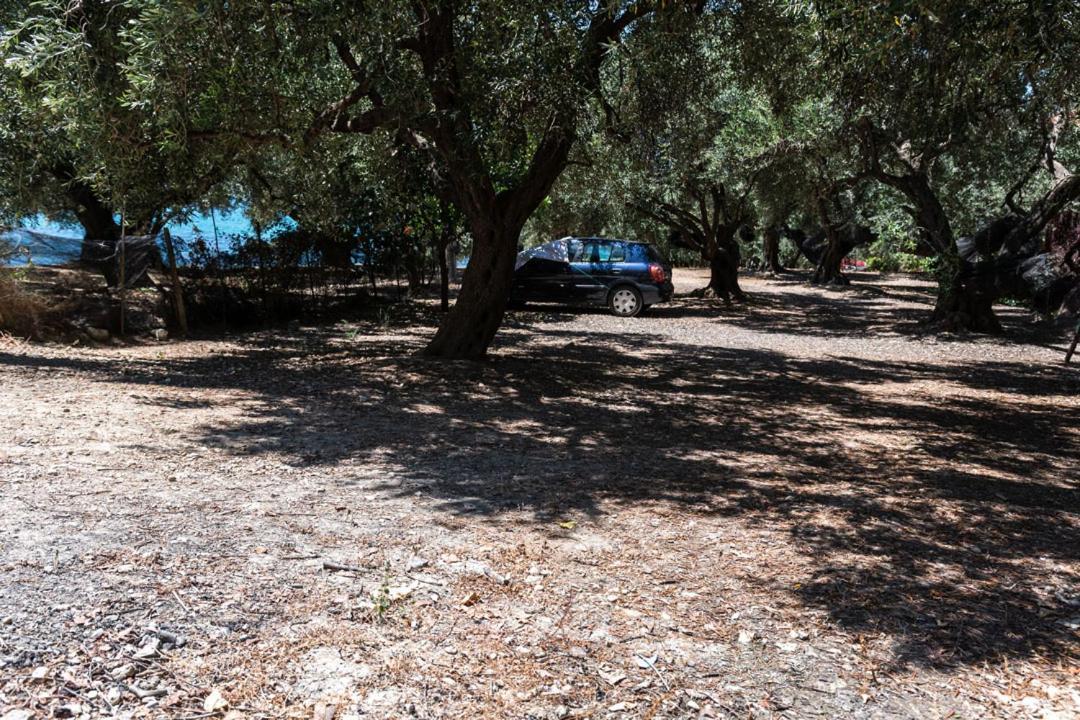 Olive Tree Villa Lygia  Extérieur photo