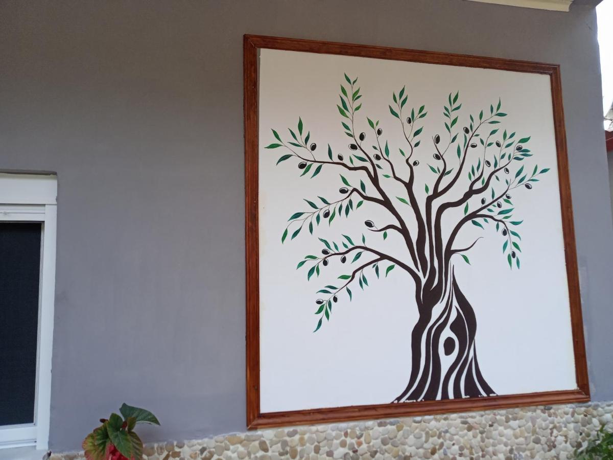 Olive Tree Villa Lygia  Extérieur photo